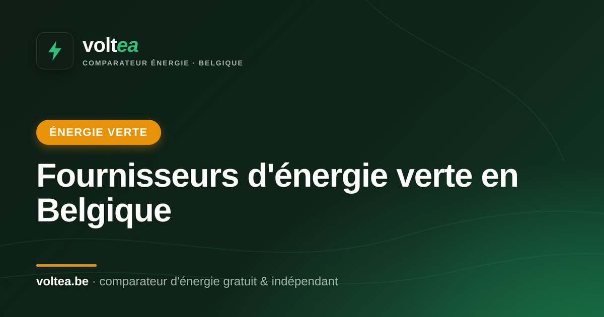 Fournisseurs d'énergie verte en Belgique 2026 : le comparatif